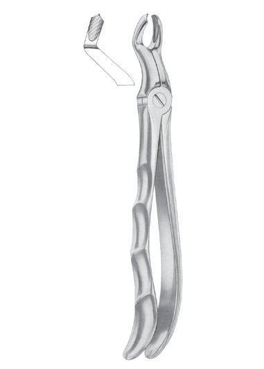 Fig. 67 ½ R upper third molars right