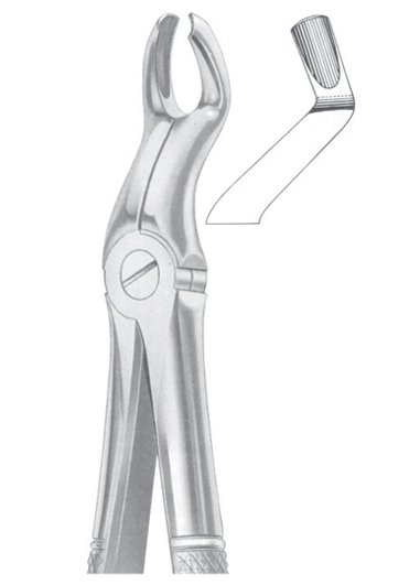 Fig. 67 ½L upper third molars left